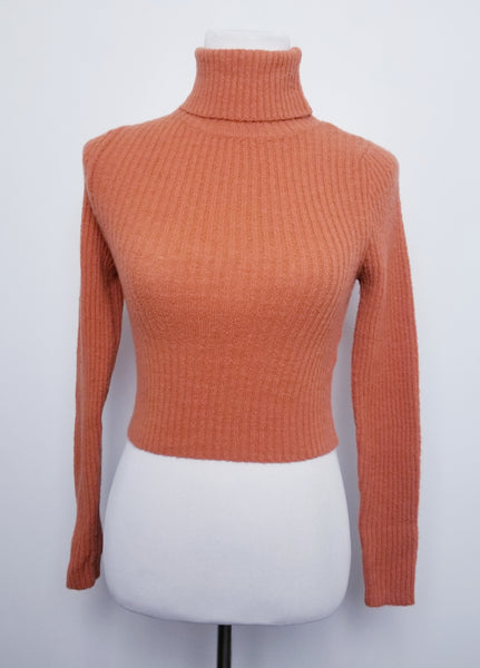 Semi Crop Turtleneck